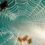 web agri