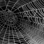 web agri
