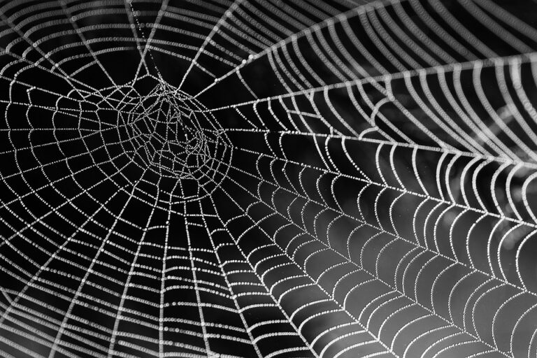 Le futur de l&rsquo;agriculture connectée