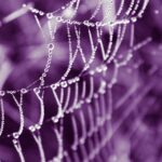 web agri