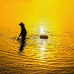 comment appelle-t-on lʼimage dʼune personne renvoyée par le web