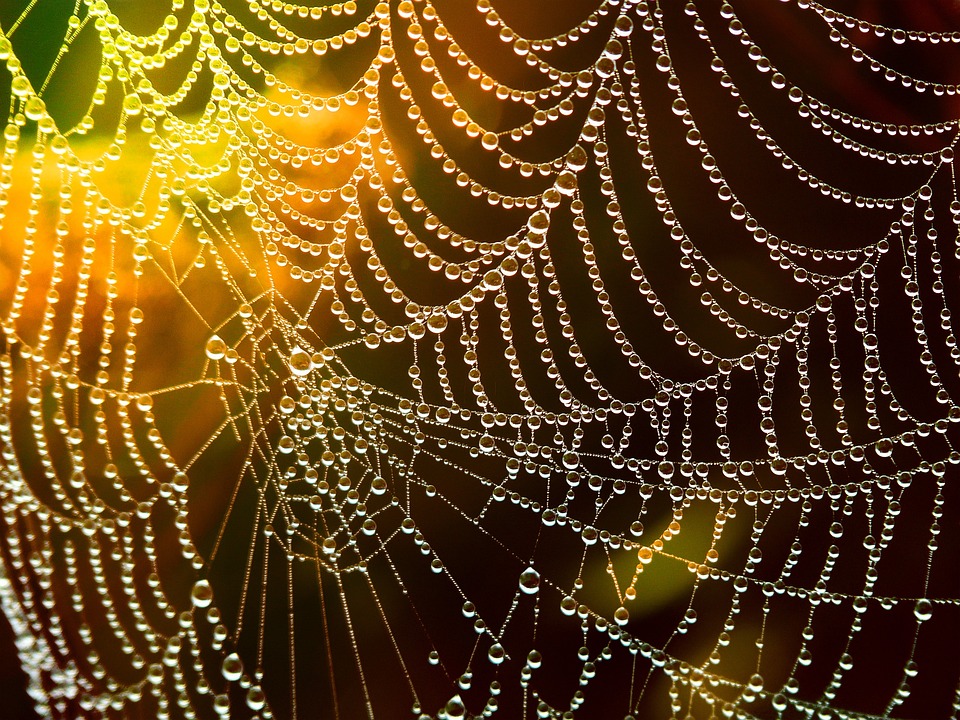 web agri