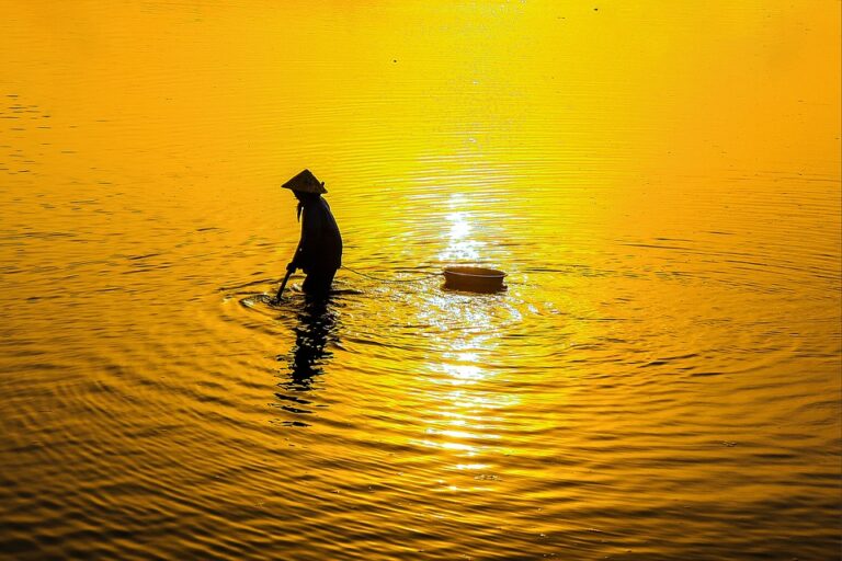 comment appelle-t-on lʼimage dʼune personne renvoyée par le web