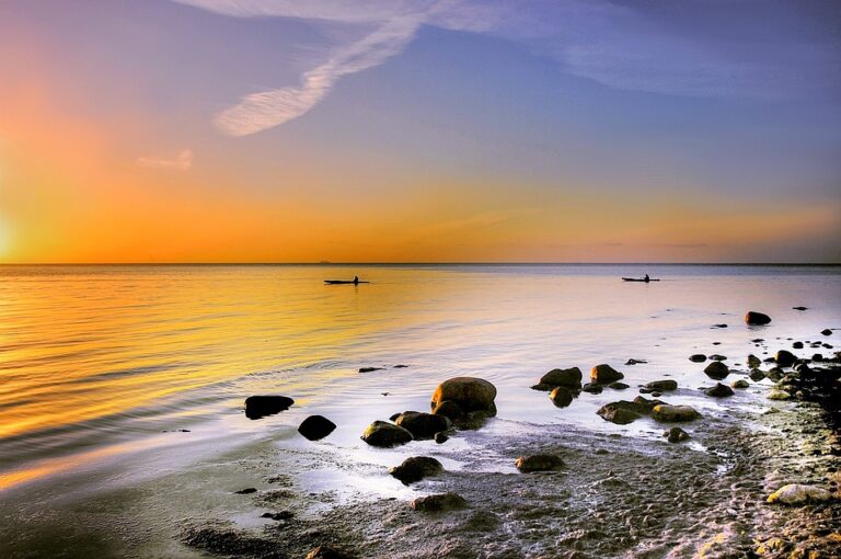 Mon profil en ligne : Ma présence sur le web